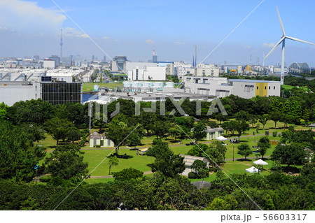 8月　江東51若洲公園ｷｬﾝﾌﾟ場 56603317