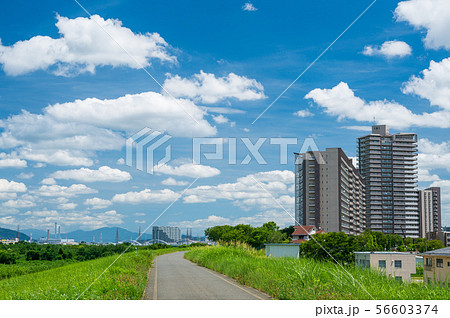 淀川堤防上のマンションの写真素材