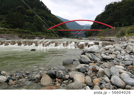 雨上がりの黒部川と愛本橋 56604026