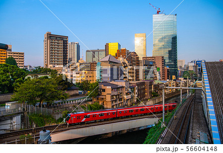 日本の東京都市景観 東京メトロ丸ノ内線新型車両や野鳥、御茶ノ水駅などを望む(奥に東京スカイツリー) 日本の東京都市景観 東京メトロ丸ノ内線新型車両や野鳥、御茶ノ水駅などを望む(奥に東京スカイツリー) 56604148