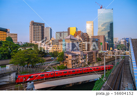 日本の東京都市景観 東京メトロ丸ノ内線新型車両や野鳥、御茶ノ水駅などを望む(奥に東京スカイツリー) 日本の東京都市景観 東京メトロ丸ノ内線新型車両や野鳥、御茶ノ水駅などを望む(奥に東京スカイツリー) 56604152