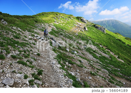 北アルプス笠ヶ岳への道 縦走路 大ノマ岳から双六岳を望む 北アルプス笠ヶ岳への道 縦走路 大ノマ岳から双六岳を望む 56604189