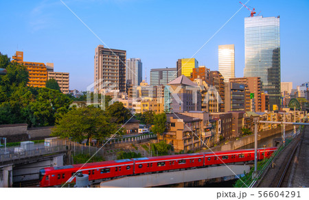 日本の東京都市景観　東京メトロ丸ノ内線新型車両や野鳥などを望む（奥に東京スカイツリー） 56604291