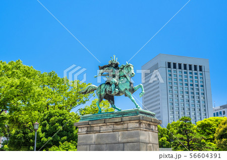 東京　皇居外苑の風景（楠木正成像周辺） 56604391