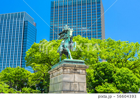 東京　皇居外苑の風景（楠木正成像周辺） 56604393