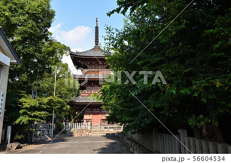 甚目寺観音 甚目寺観音 56604534