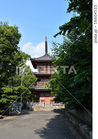 甚目寺観音 甚目寺観音 56604535