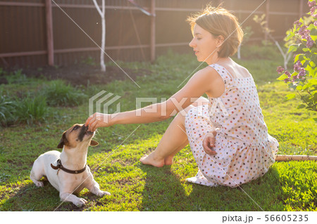 Young woman with her jack russell terrier dog playing on the grass outside Young woman with her jack russell terrier dog playing on the grass outside 56605235