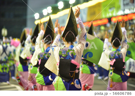 本場徳島阿波踊り 演舞場に踊り込む 本場徳島阿波踊り 演舞場に踊り込む 56606786