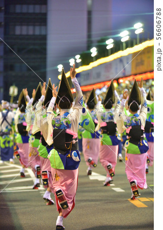 本場徳島阿波踊り　演舞場に踊り込む 56606788