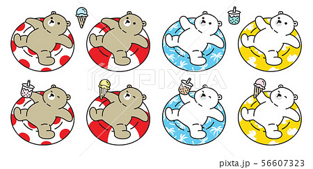 Bear vector polar bear swimming ring icon cartoon  56607323