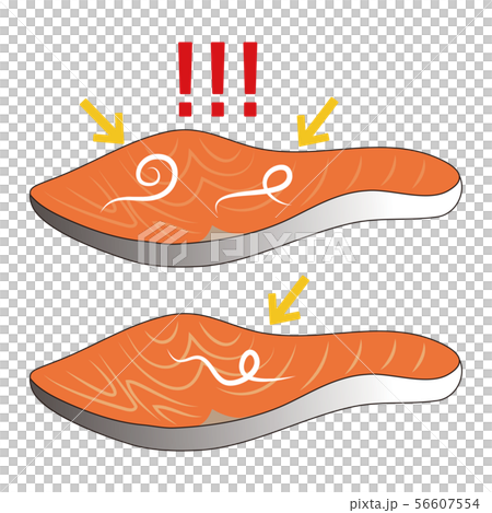 寄生虫 アニサキスと鮭の切り身 ベクター イラスト 寄生虫 アニサキスと鮭の切り身 ベクター イラスト 56607554