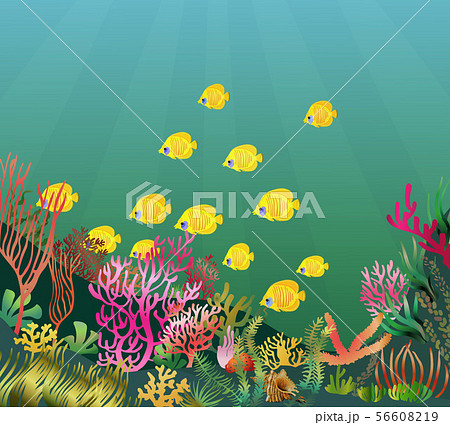 Underwater seascape scene 56608219