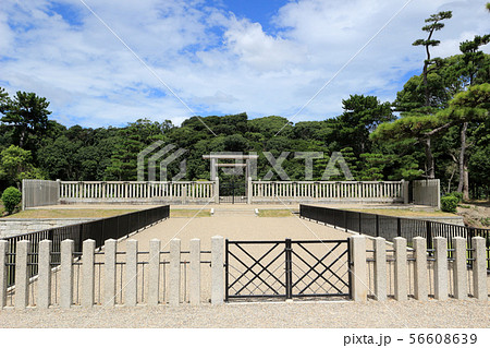 仁徳天皇百舌鳥耳原中陵 拝所 56608639