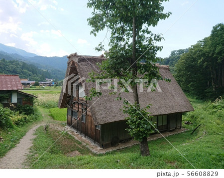 白川郷 56608829