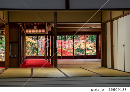 天授庵の庫裏 額縁庭園 天授庵の庫裏 額縁庭園 56609183