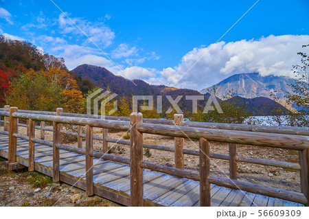 秋の日光中禅寺湖の千手ヶ浜(せんじゅがはま)にかかる橋 56609309