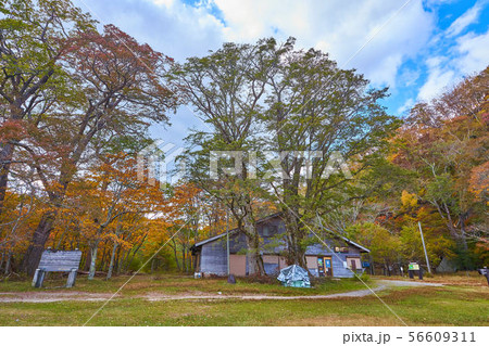 秋の日光中禅寺湖 千手ヶ浜の乗船券売場 秋の日光中禅寺湖 千手ヶ浜の乗船券売場 56609311