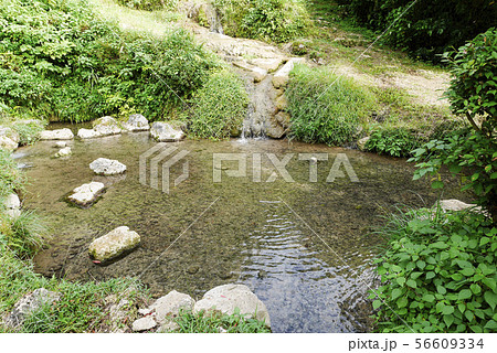 沖縄 沖縄 56609334