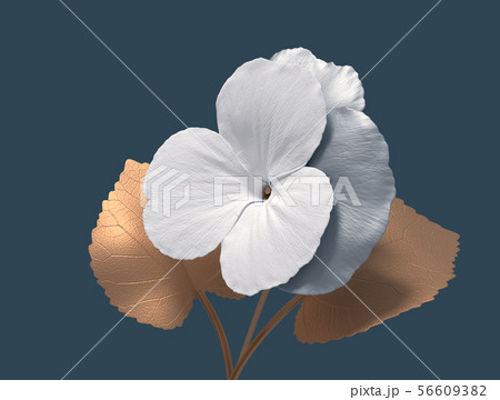 Conceptual Flower Viola On Blue Background 56609382