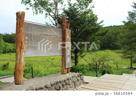 入笠山　入笠湿原 56610564