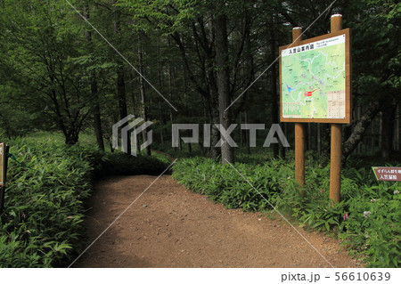 入笠山 入笠湿原 入笠山 入笠湿原 56610639