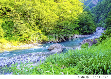 夏の清津峡 夏の清津峡 56610852