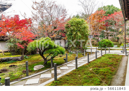 方丈北の庭 天授庵 方丈北の庭 天授庵 56611843