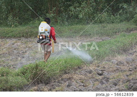Teenage farmer spraying pesticide without Teenage farmer spraying pesticide without 56612839