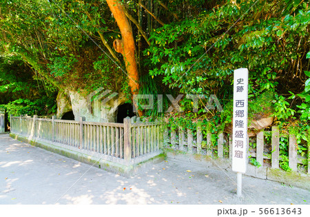 [鹿児島県の観光イメージ] 鹿児島市の観光名所の城山の観光スポット 56613643