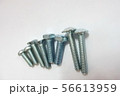 Various screw and nut types used for industrial 56613959