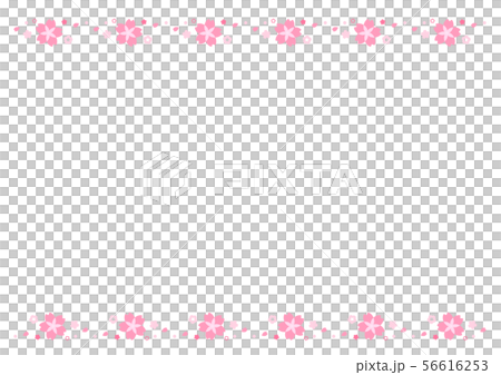 さくら　素材　 56616253