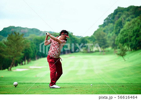 ゴルフ　 56616464