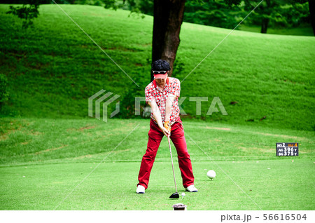 ゴルフ　 56616504