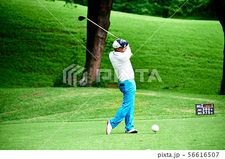 ゴルフ  ゴルフ  56616507
