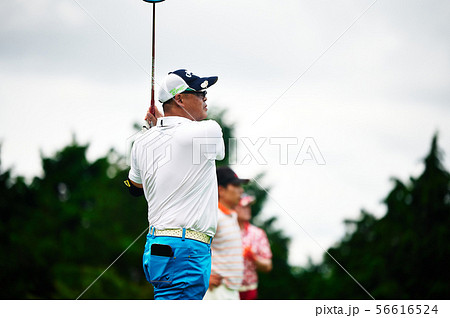 ゴルフ　 56616524