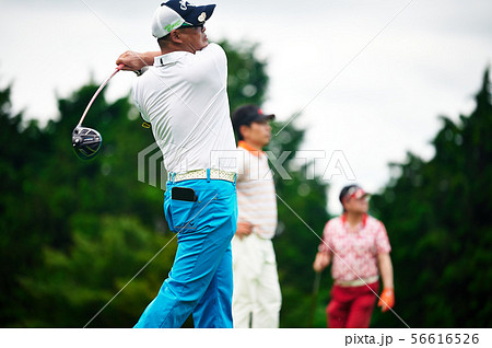 ゴルフ　 56616526