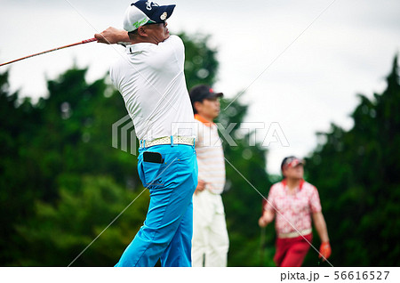 ゴルフ　 56616527