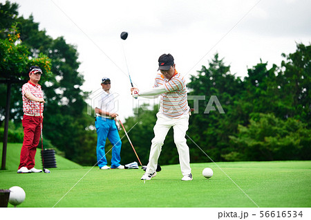 ゴルフ　 56616534