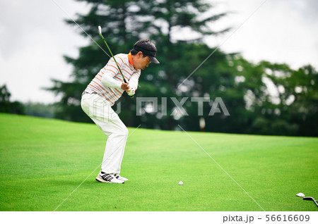 ゴルフ ゴルフ 56616609