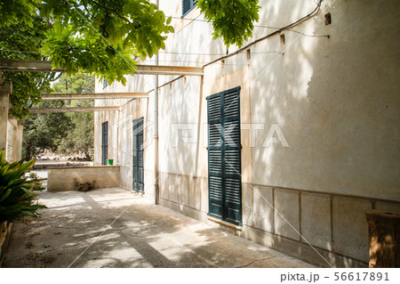 木陰の下の紺色の遮光扉の付いたクリーム色の壁の建物　マヨルカの街並み 56617891