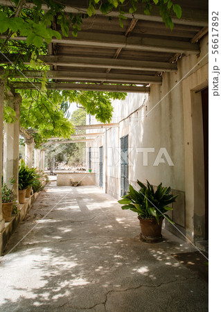 木陰の下の紺色の遮光扉の付いたクリーム色の壁の建物 マヨルカの街並み 木陰の下の紺色の遮光扉の付いたクリーム色の壁の建物 マヨルカの街並み 56617892