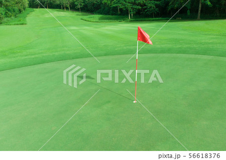 View of Golf Course with Green and Fairway View of Golf Course with Green and Fairway 56618376