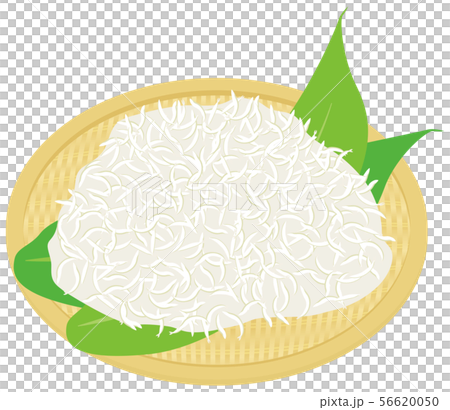 ザルいっぱいの小魚 ザルいっぱいの小魚 56620050