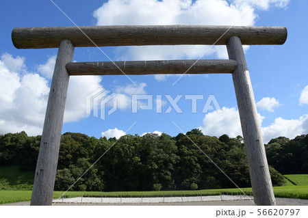 神宮神田 56620797