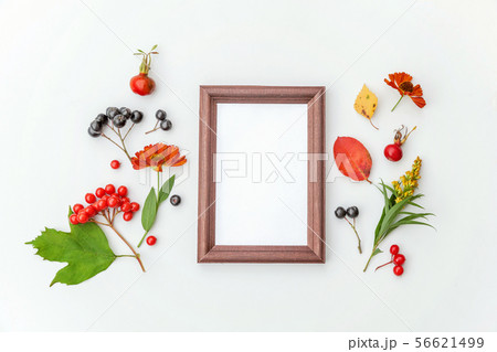 Autumn floral composition. Vertical frame mockup chokeberry rowan berries colorful leaves dogrose 56621499