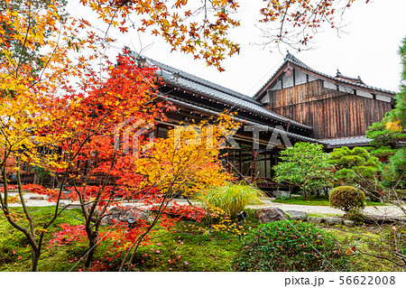 書院 澄心庭 天授庵 書院 澄心庭 天授庵 56622008