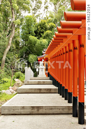 三宮の生田稲成神社 三宮の生田稲成神社 56622014