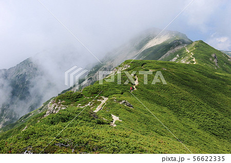 北アルプス笠ヶ岳への道 縦走路 抜戸岳、笠新道分岐を望む 北アルプス笠ヶ岳への道 縦走路 抜戸岳、笠新道分岐を望む 56622335