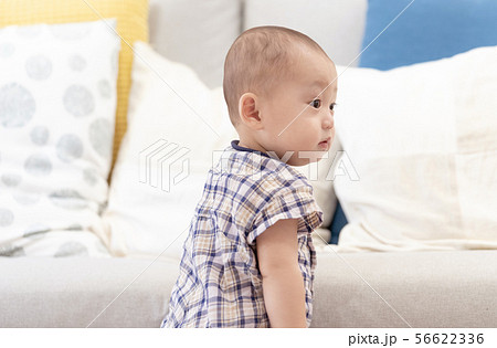 赤ちゃん 赤ちゃん 56622336